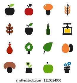 solid vector ixon set - oil vector, cook press, egg, mushroom, apple fruit, leaf, diet, cereals, tree, flower in pot
