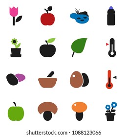 solid vector ixon set - thermometer vector, egg, mushroom, potato, apple fruit, leaf, diet, water bottle, tulip, mortar, pond, flower in pot