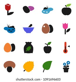 solid vector ixon set - thermometer vector, cereal, egg, mushroom, potato, apple fruit, leaf, diet, tulip, mortar, pond, flower in pot