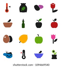 solid vector ixon set - thermometer vector, cereal, egg, potato, oil, apple fruit, leaf, diet, tulip, mortar, pond, flower in pot