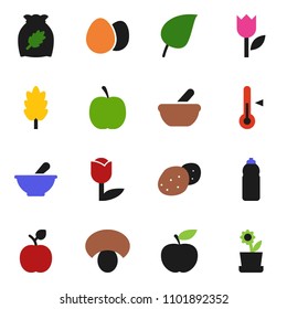 solid vector ixon set - thermometer vector, cereal, egg, mushroom, potato, apple fruit, leaf, diet, water bottle, tulip, mortar, flower in pot