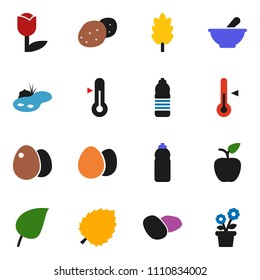 solid vector ixon set - thermometer vector, cereal, egg, potato, apple fruit, leaf, water bottle, tulip, mortar, pond, flower in pot