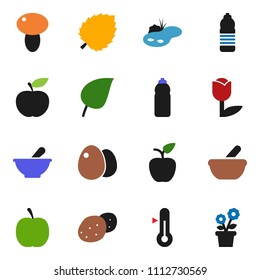solid vector ixon set - thermometer vector, egg, mushroom, potato, apple fruit, leaf, diet, water bottle, tulip, mortar, pond, flower in pot