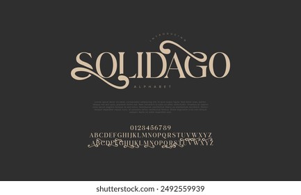 Solidago swash luxury elegant alphabet letters and numbers. Vintage wedding typography classic serif font decorative vintage retro. creative vector illustration