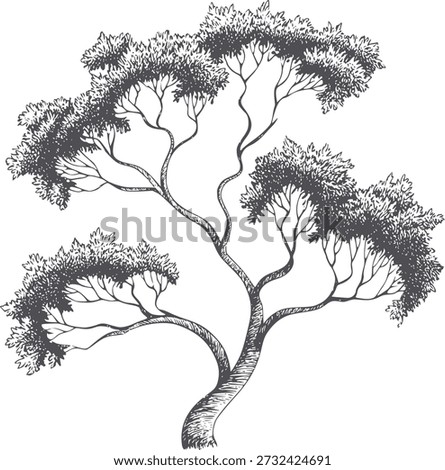 Solitary gnarled tree with dense foliage in black and pen and ink branches