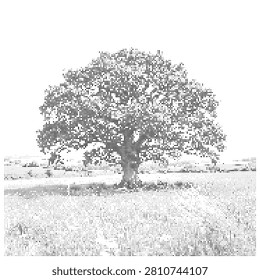 A solitary large oak tree standing in the middle of a grassy field under a bright sky.