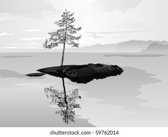solitary pine on rock. vector illustration