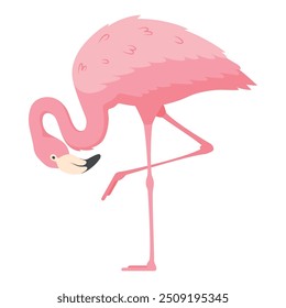 A solitary pink flamingo balances delicately on one leg, its vivid plumage standing out against a simple background, highlighting its elegance and unique posture.