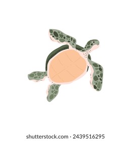 Solo sea turtle in motion. A vector illustration captures the gentle movement of a sea turtle with a peach-colored shell and spotted flippers.