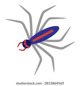 Solpuga spider. Hand drawn vector flat. Arthropod. Insect, hexapod. Animal. Pest. Scary spinner, caterpillar. Color illustration.