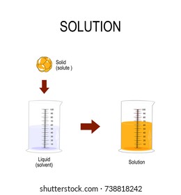 solution is a homogeneous mixture. Substance dissolved in another substance. Solid in liquid. Solubility chemistry. Vector illustration
