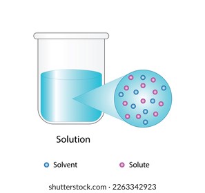 Solutions. Solubility homogeneous mixture. Solute, solvent and solution. Dissolving solids. Chemistry. Educational diagram. Conical flask, isolated on white background. Vector illustration.