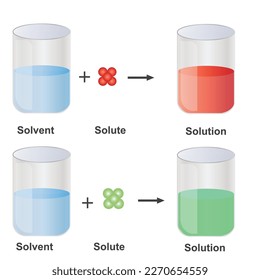 Solutions. Solubility homogeneous mixture. Solute, solvent and solution. Dissolving solids. Educational diagram.schematic of solubility in chemistry.