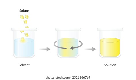 Solutions. Solubility homogeneous mixture. Solute, solvent and solution. Dissolving solids. Chemistry. Educational diagram. Conical flask, isolated on white background. Vector illustration.