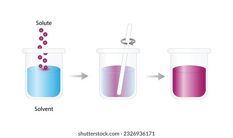 Solutions. Solubility homogeneous mixture. Solute, solvent and solution. Dissolving solids. Chemistry. Educational diagram. Conical flask, isolated on white background. Vector illustration.
