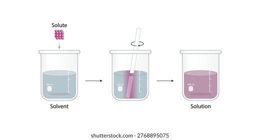 Solutions. Solubility homogeneous mixture. Solute, solvent and solution. Dissolving solids. Chemistry. Educational diagram. Conical flask, isolated on white background. Vector illustration.