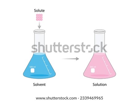 Solutions. Solubility homogeneous mixture. Solute, solvent and solution. Dissolving solids. Chemistry. Educational diagram. Conical flask, isolated on white background. Vector illustration.