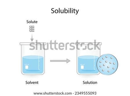 Solutions. Solubility homogeneous mixture. Solute, solvent and solution. Dissolving solids. Chemistry. Educational diagram. Conical flask, isolated on white background. Vector illustration.