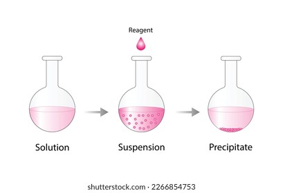 Solutions, suspension, precipitate. Solubility homogeneous mixture. Dissolving solids. Precipitation. Chemistry. Educational diagram, flask, isolated on white background. Vector illustration.