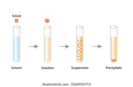 Solutions, suspension, precipitate. Solubility homogeneous mixture. Dissolving solids. Precipitation. Chemistry. Educational diagram, flask, isolated on white background. Vector illustration.