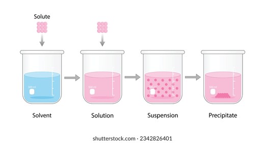 Solutions, suspension, precipitate. Solubility homogeneous mixture. Dissolving solids. Precipitation. Chemistry. Educational diagram, flask, isolated on white background. Vector illustration.