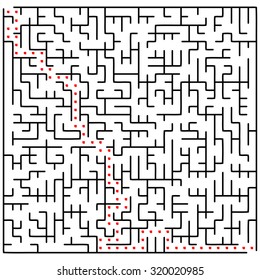 Solved vector labyrinth