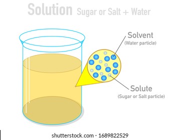 Solvent, solute molecules. Salt, sugar and water mixture. Homogeneous mixture. Solution under microscope. Solution atoms. Molecular structure. Liquid mix.  White background. Illustration Vector