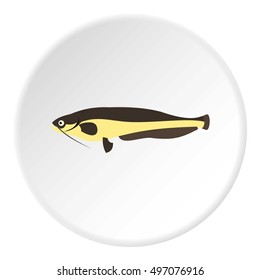 Som icon. Flat illustration of som vector icon for web