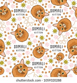 Somali : Cat breed collection : Seamless Pattern : Vector Illustration
