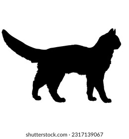 Somali cat silhouette cat breeds vector