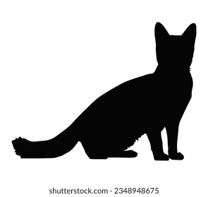 Somali cat silhouette cat breeds vector.