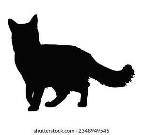 Somali cat silhouette. Cat breeds vector.