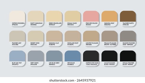 Paleta de Cores de Avestruz Somali. Gráfico de amostra de tom de cor de avestruz somali com códigos HEX e nomes de cores. Somali avestruz Pena e cores do corpo tons variantes. Paleta de Tons de Ênfase nos Pés, Bico e Olhos