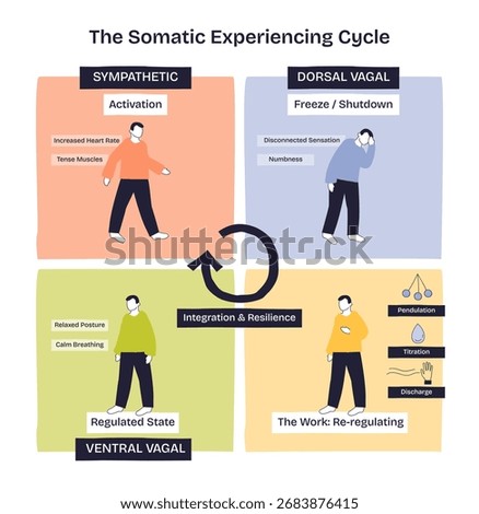 Somatic Experiencing Cycle shows four phases, activation, shutdown, regulation, and integration, with human figures and arrows. Doodle style diagram