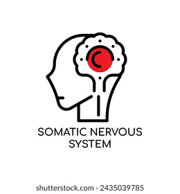 Somatic Nervous System Line Icon stock illustration. svg