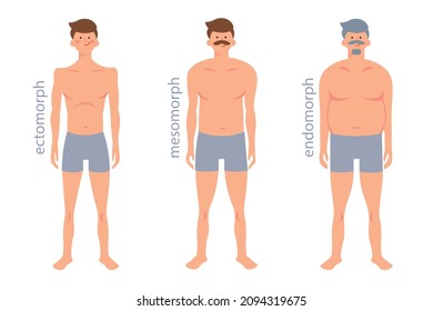 Somatic types, shapes of human body: ectomorph, mesomorph, endomorph.  Male figure types set. Vector illustration.