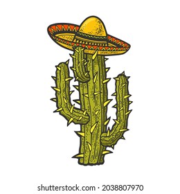 sombrero mexican hat on cactus plant color sketch engraving vector illustration. T-shirt apparel print design. Scratch board imitation. Black and white hand drawn image.