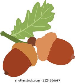 Some acorns for any use.