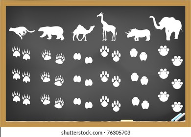 some animals footprints drawing on blackboard