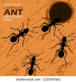 Some black ants are walking on the wood going to the hole with bold texts, Carpenter Ant Awareness Week June 19-25