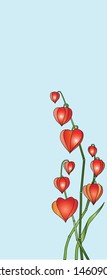 some branches of Physalis on a blue background