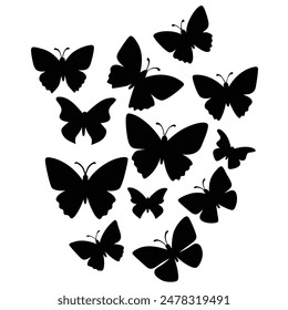  some butterfly silhouette vector illustration