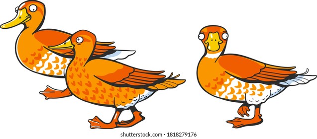 Algunos patos de dibujos animados sobre fondo blanco. Cómic. Aislado.