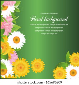 some colored daisy flowers with leaves and text