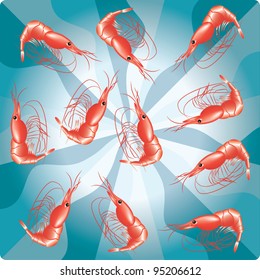 Some cooked shrimp on a blue background