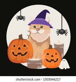 Some cute and funny idea for Halloween decorations, including Halloween pumpkins, little ghosts, candles, spider, and a lovely spooky cat.