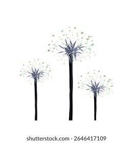 some dried dandelion flowers with dew without background