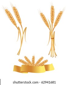 Some ears of wheat and ribbon. Vector.