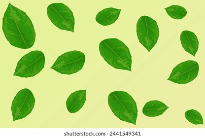some fallen lime leaves on a yellow background