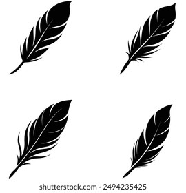 some Feather silhouette vector illustration